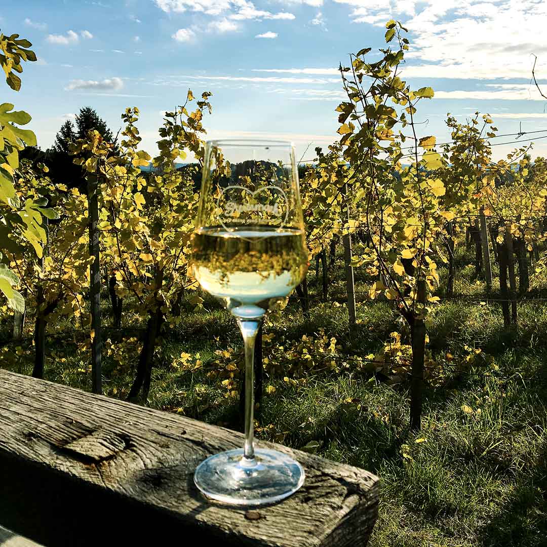 VHS_KloecherWeinstrassenTour_001_WEB_©SteiermarkTourismus_EvaMark
