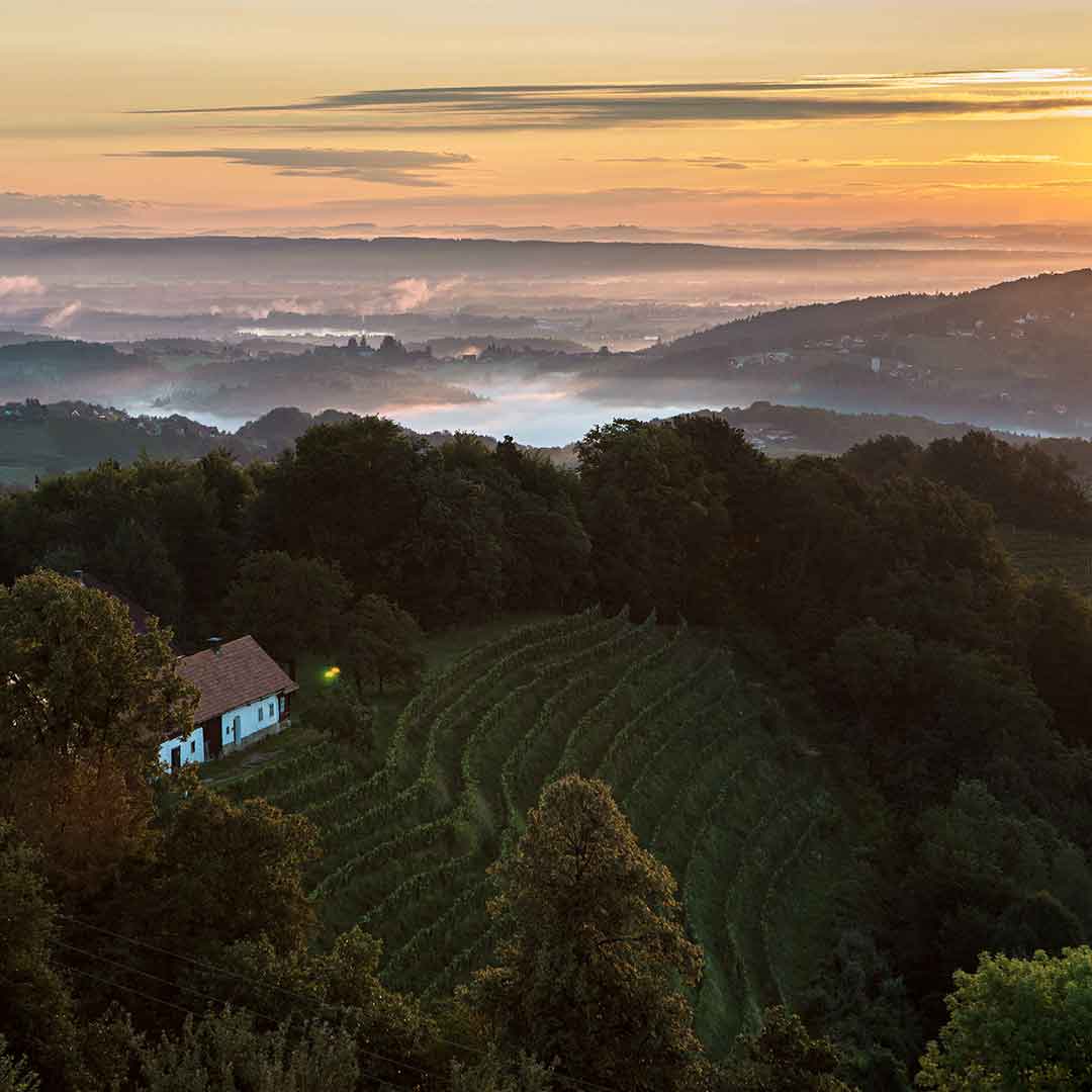 VHS_SausalerWeinstrassenTour_001-WEB_©SteiermarkTourismus_HarrySchiffer