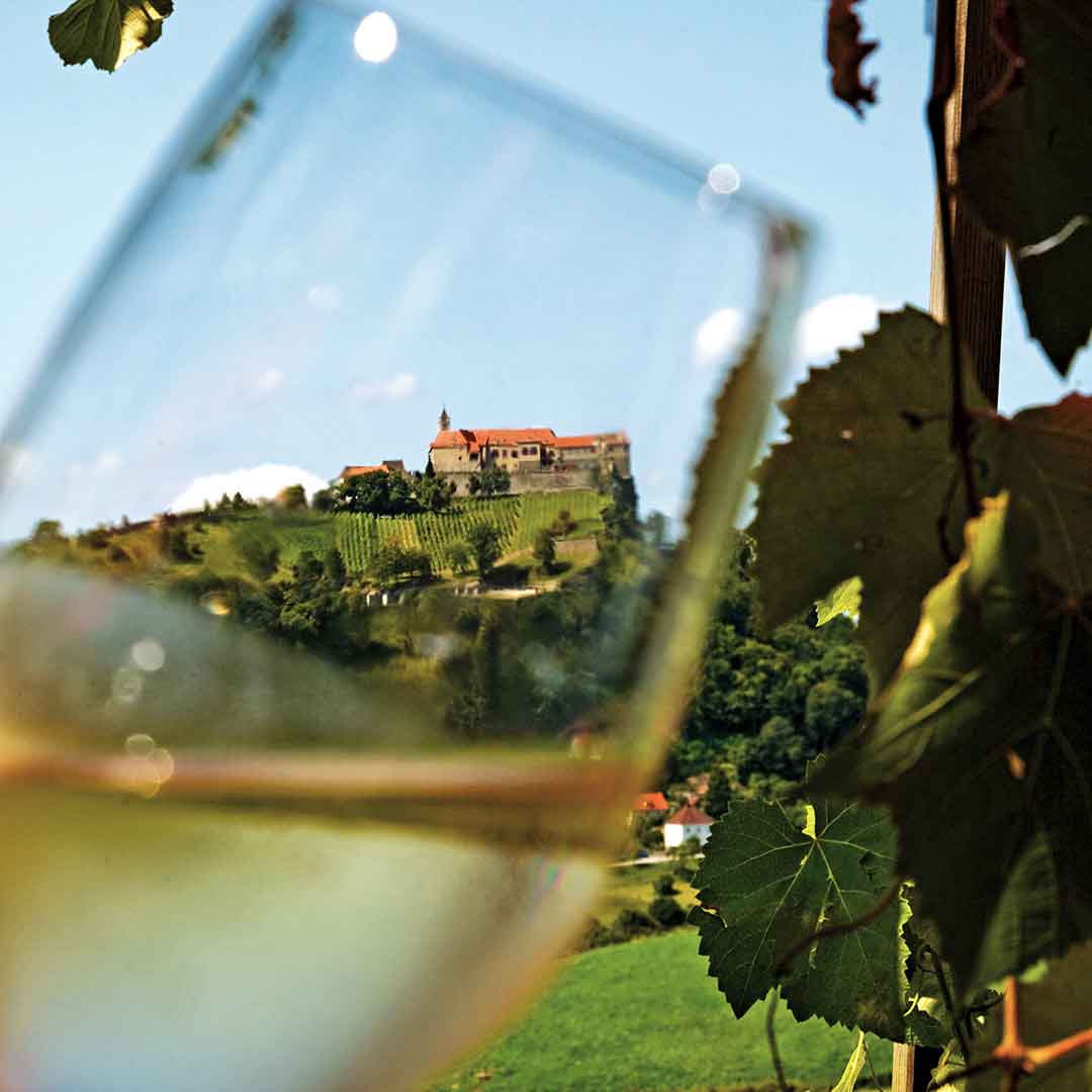 VHS_ThermenlandWeinstrassenTour_001_WEB_©SteiermarkTourismus_RLamm