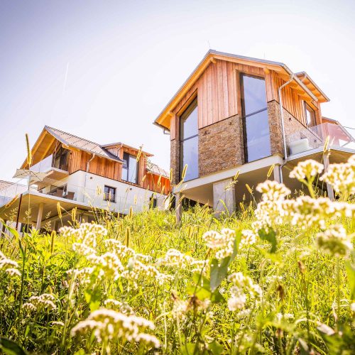 Golden Hill Country Chalets & Suites Häuser