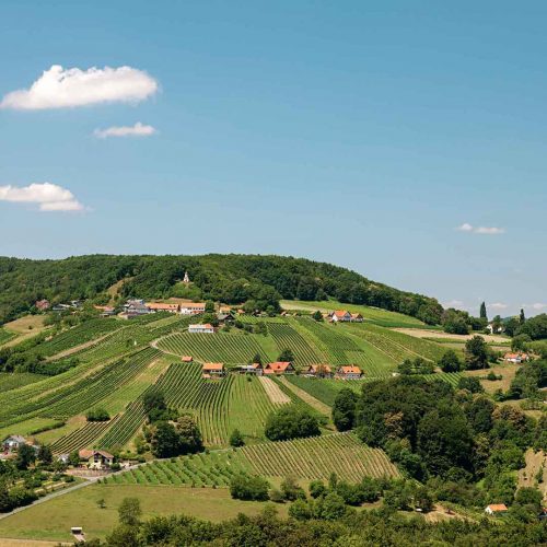 Weingut Pfeiffer Landschaft