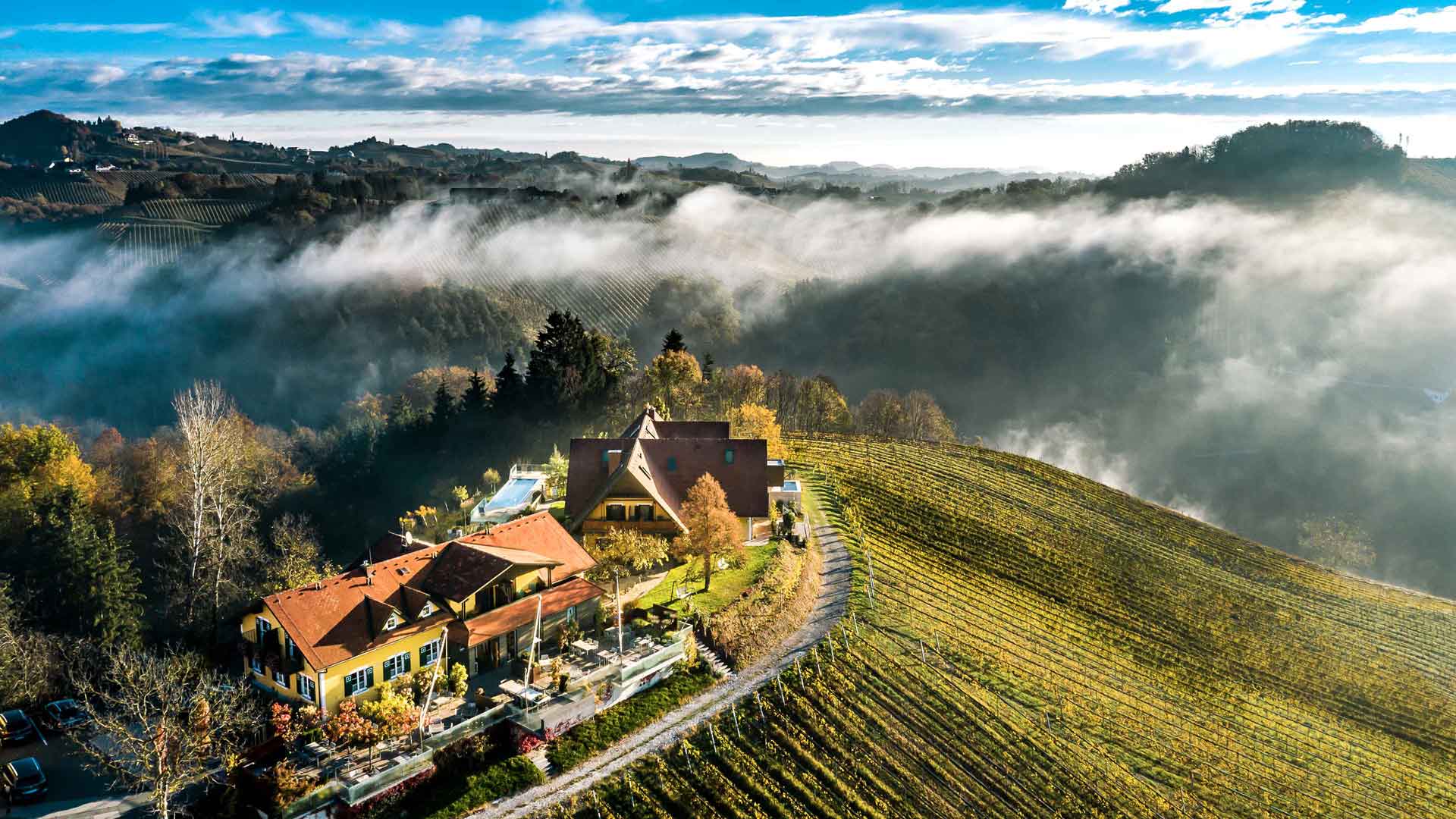 Weingasthof Sabathihof Luftaufnahme