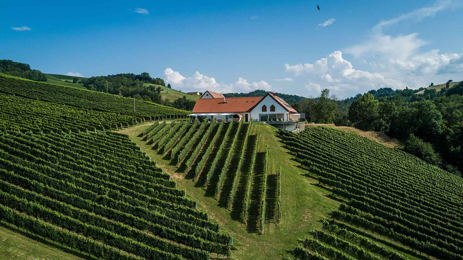 Weinschmiede Südsteiermark