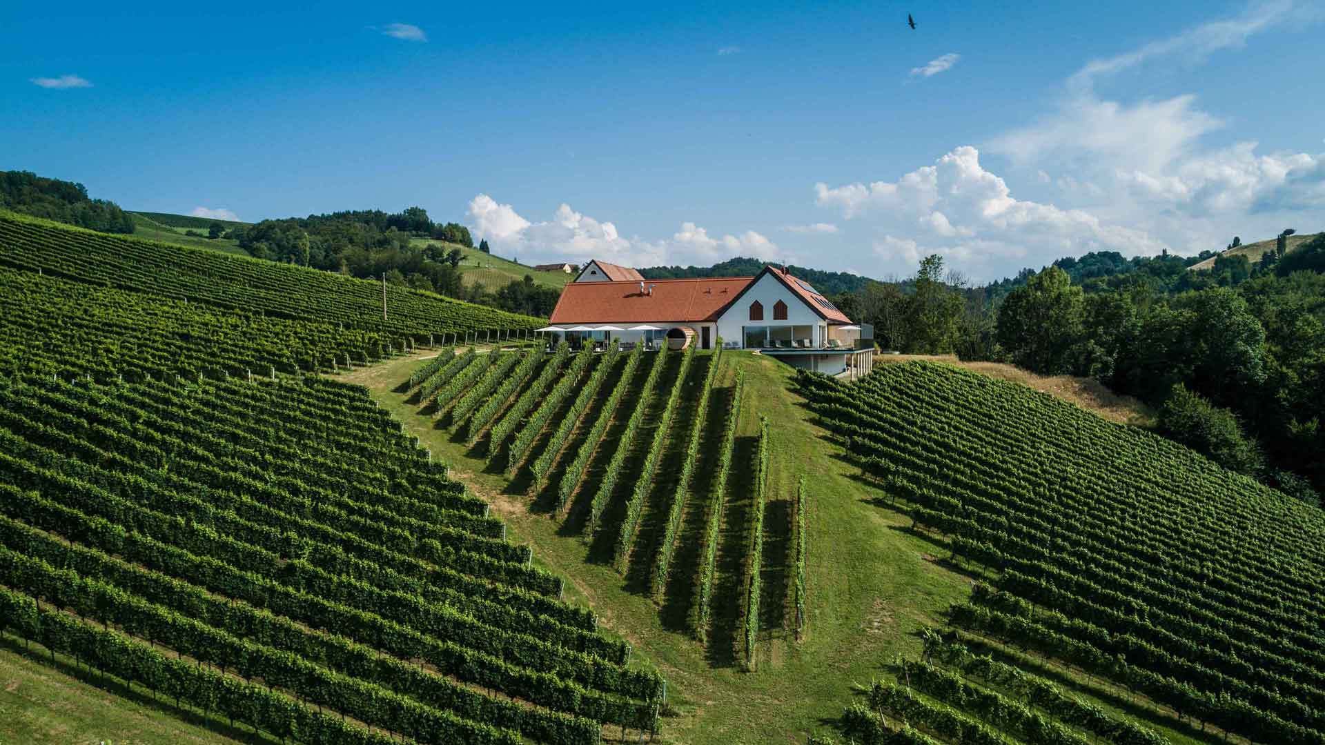 Weinschmiede 18 – Südsteiermark entdecken