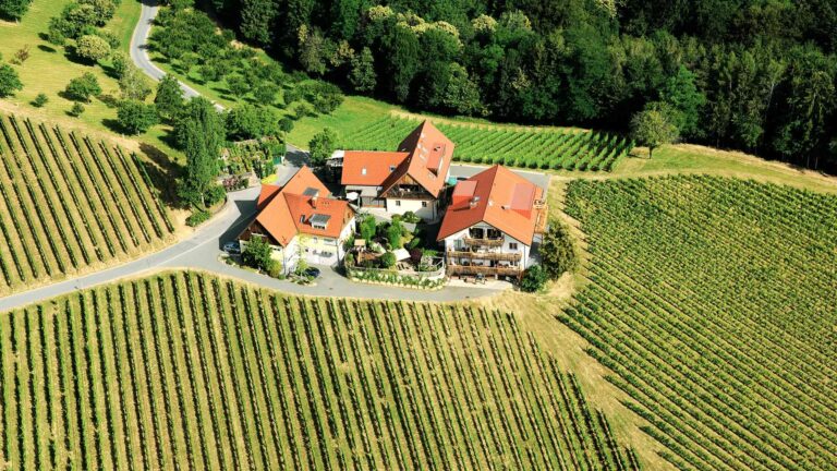 Weinreise Weingut Dreisiebner Stammhaus / Südsteiermark