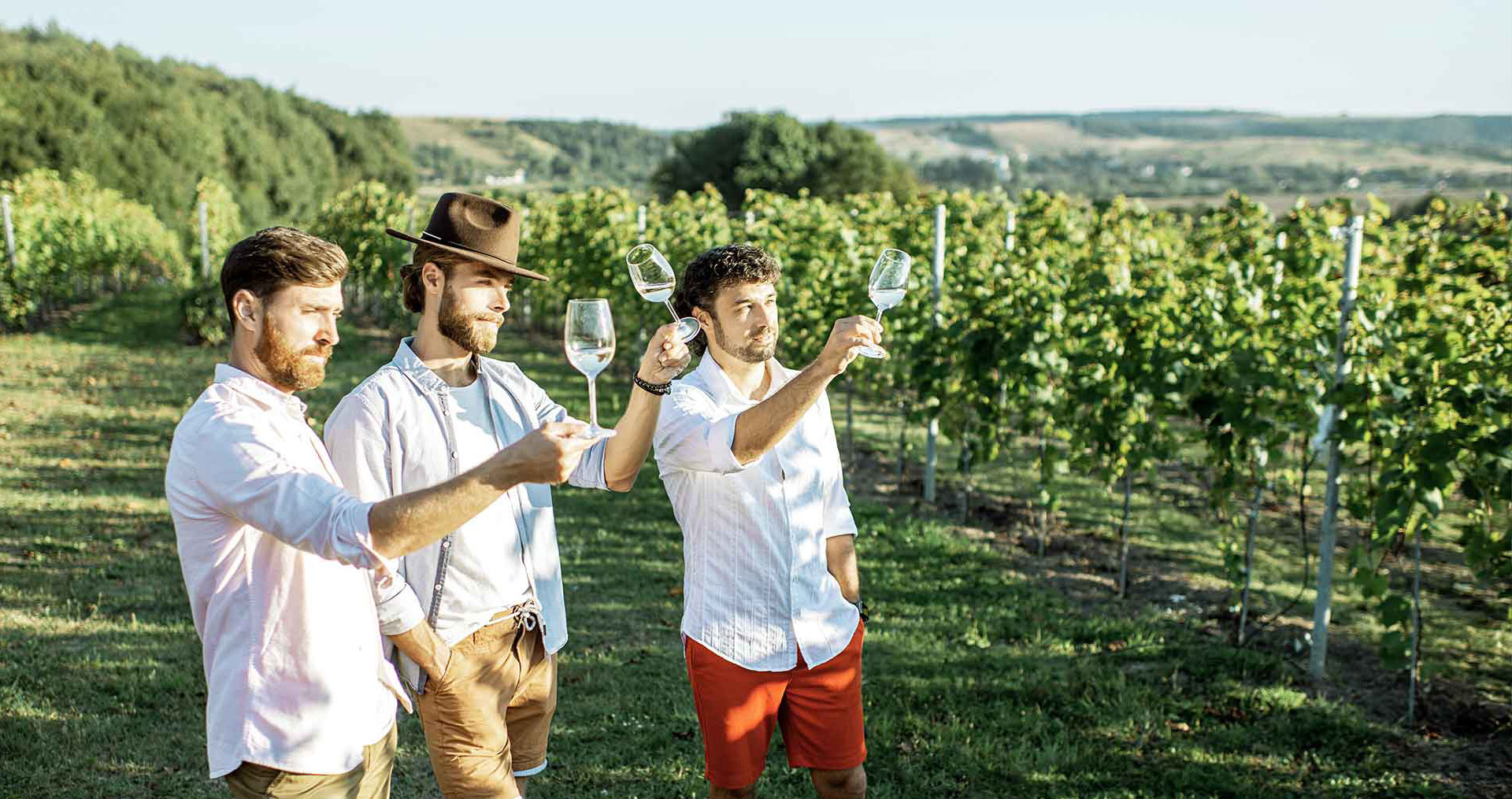 Aufgehts-weintour-01