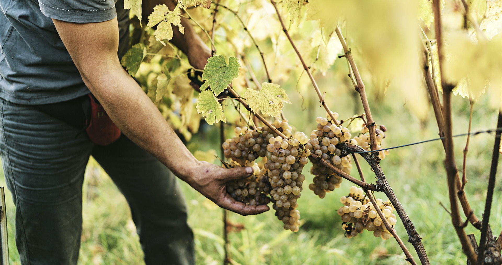Aufgehts-weintour-03