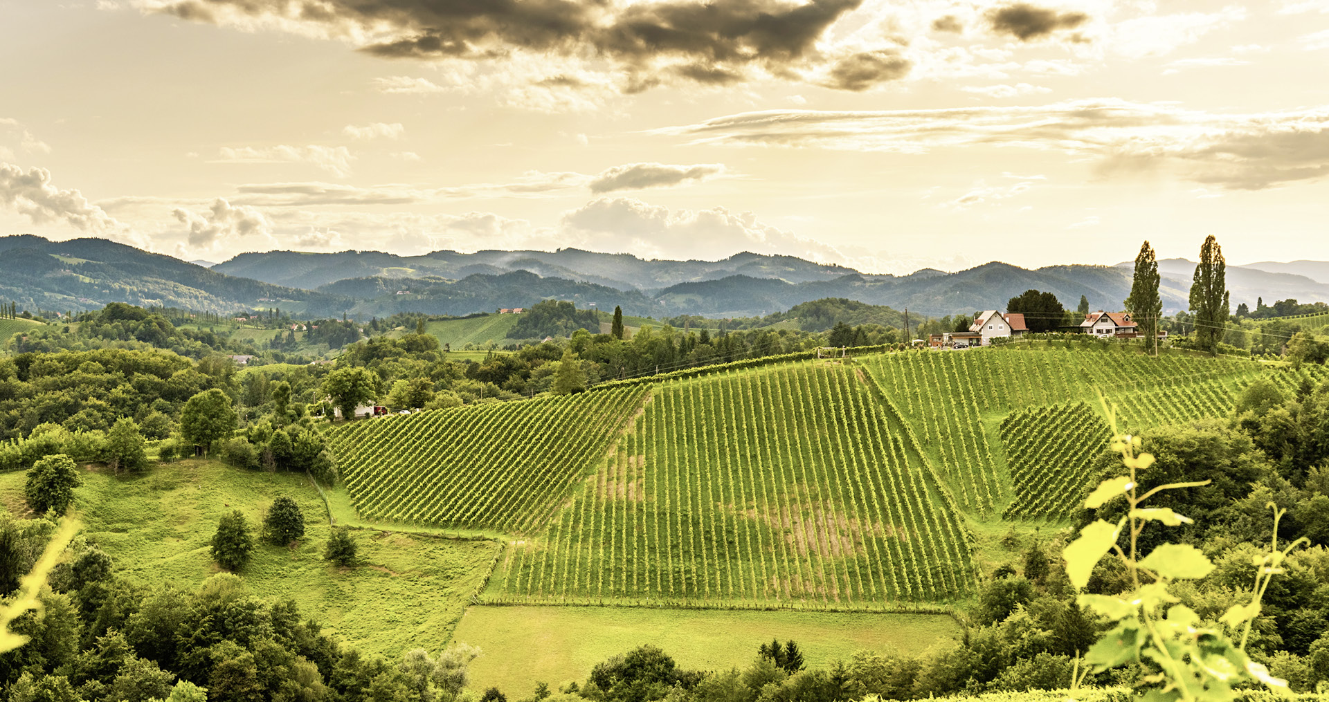 Aufgehts-weintour-05