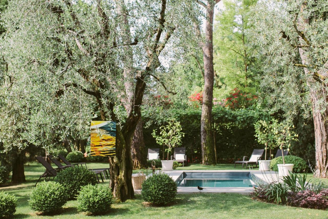 Blick in einen gepflegten Garten mit Pool, umgeben von Olivenbäumen, Liegestühlen und grünen Sträuchern, im Vordergrund ein Kunstwerk am Baum befestigt.