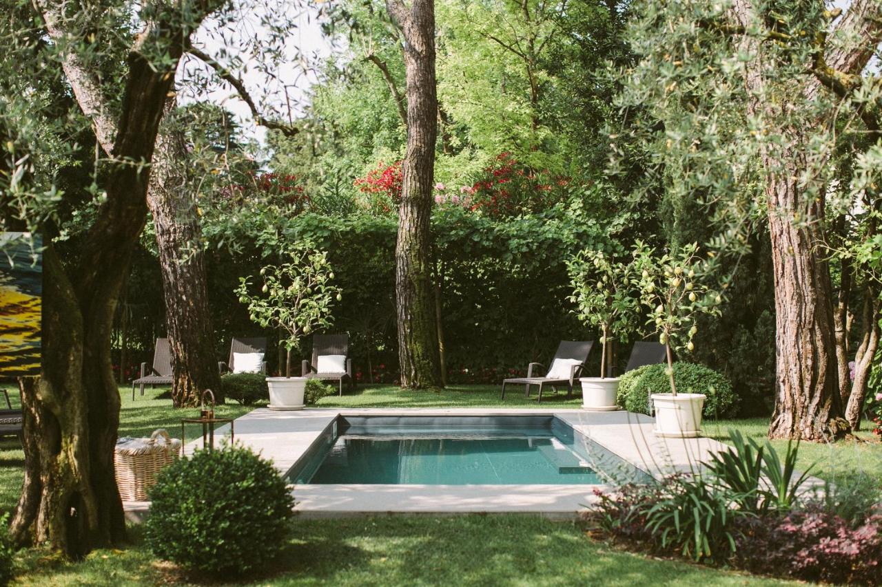 Rechteckiger Pool in einem grünen Garten mit Olivenbäumen, umgeben von Liegestühlen und Topfpflanzen.
