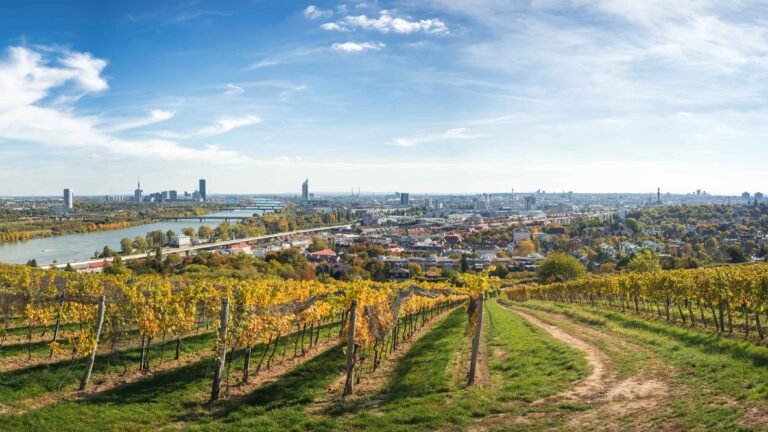 Betriebsausflug mit Weinverkostung in Wien
