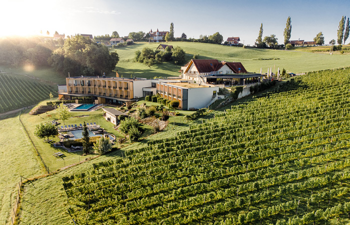 Der Weinberg des Hotels in der ländlichen Umgebung, umgeben von sanften Hügeln und blühenden Pflanzen.