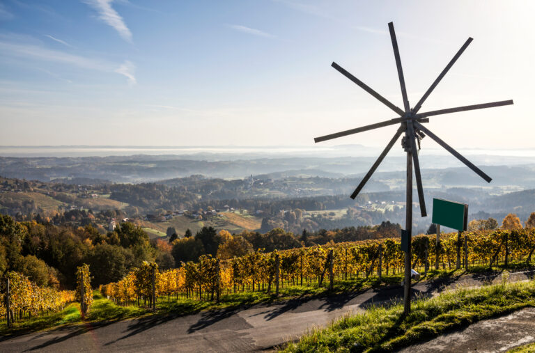 Tagesweinreise: Schilcherland