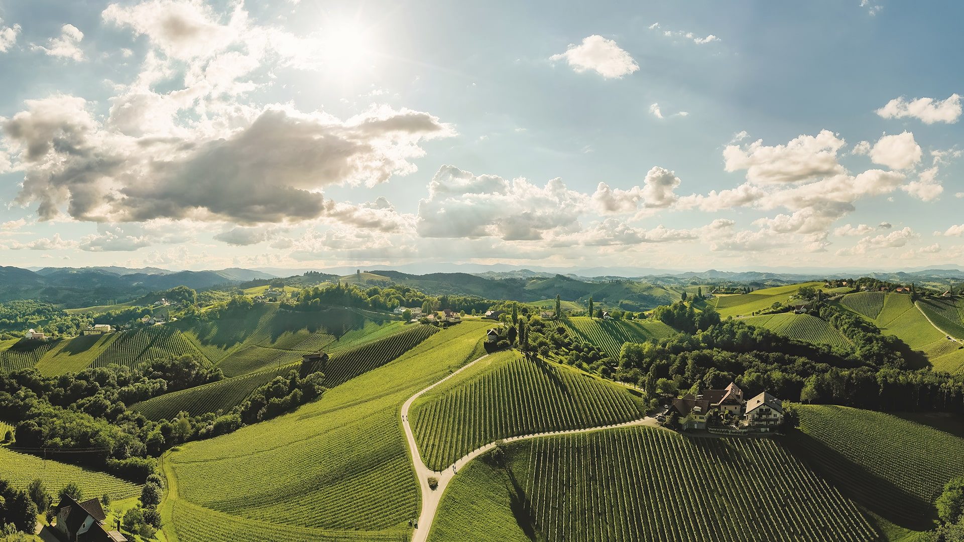 vhs-weinreise-suedsteiermark-min